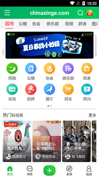 中国信鸽信息网APP