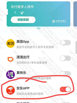 中国工商银行数字人民币app